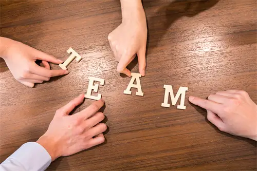 中南大学杨文娟教授简介