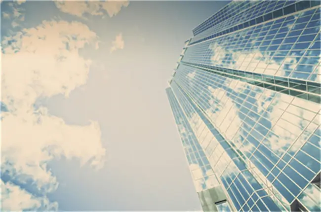 厦门大学张天平简介