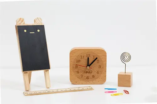 武汉大学张云帆简介